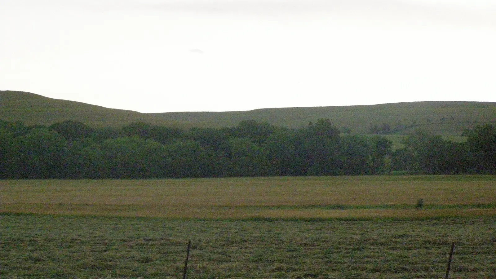 Tallgrass prairie and a fence line in the Flint Hills, Kansas