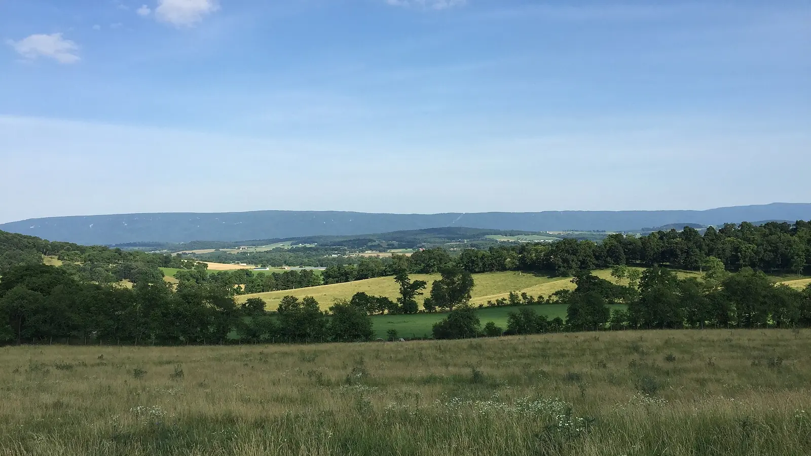 Green farmland in the Shenandoah Valley, Virginia