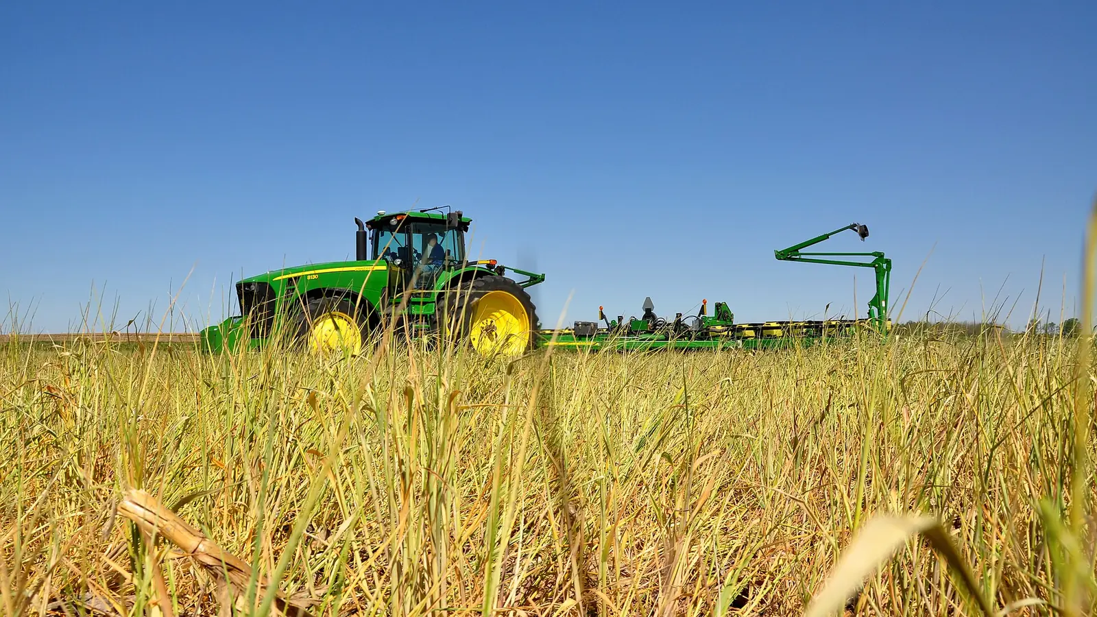 A no-till planter seeding soybeans into a cereal rye cover crop in north-central Iowa