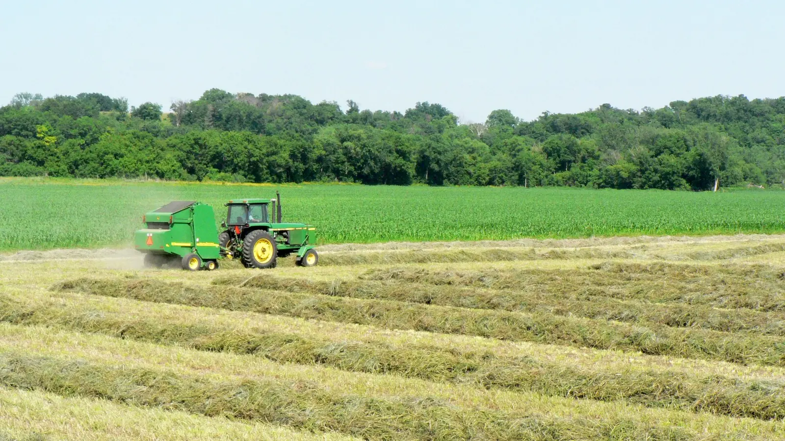 A tractor cutting hay in an Iowa hay field