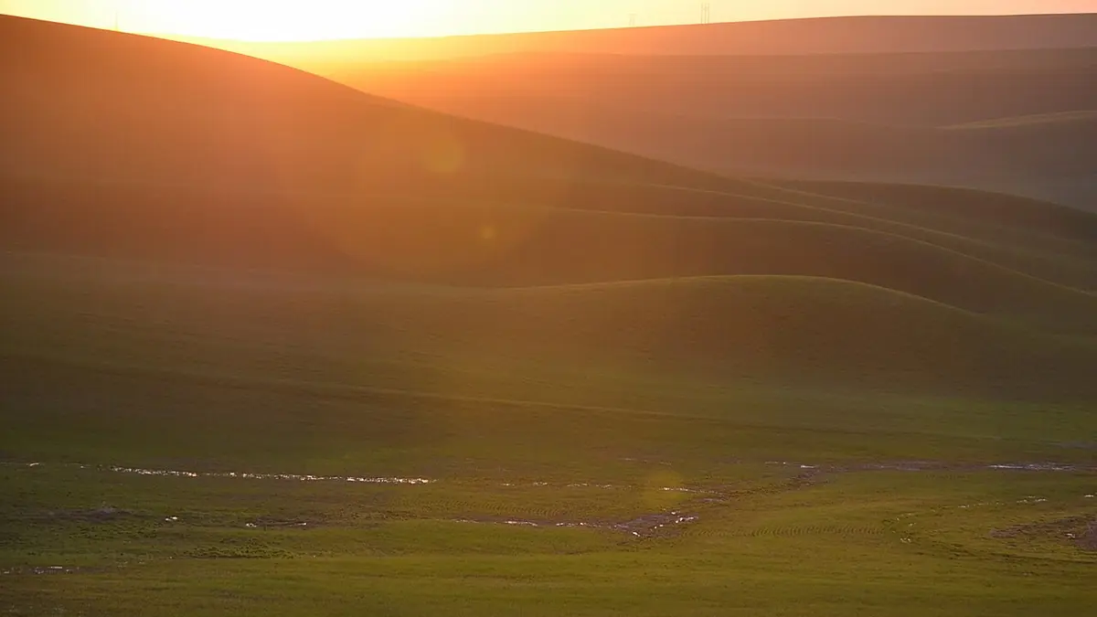 Sunset over the rolling wheat hills of the Palouse, Washington